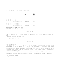 소장(개발부담금부과처분취소청구) 소장(개발부담금부과처분취소청구)